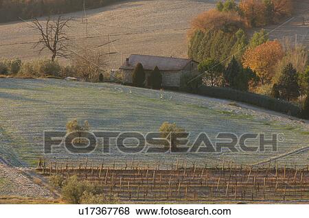 View of Tiber Valley, in early morning winter sun, fields and farmland with light dusting of snow, house and bare grape vines View Large Photo Image Stock Photo - View of Tiber Valley, in early morning winter sun, fields and farmland with light dusting of snow, house and bare grape vines. Fotosearch