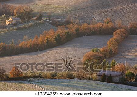 View of Tiber Valley, in early morning winter sun, fields and farmland with light dusting of snow View Large Photo Image Stock Photo - View of Tiber Valley, in early morning winter sun, fields and farmland with light dusting of snow. Fotosearch