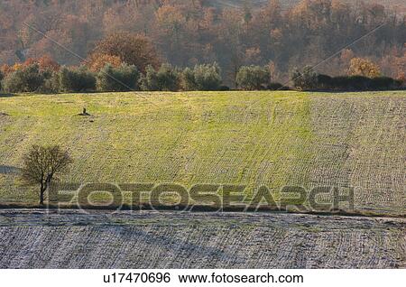 View of Tiber Valley, in early morning winter sun, fields and farmland with light dusting of snow View Large Photo Image Stock Photograph - View of Tiber Valley, in early morning winter sun, fields and farmland with light dusting of snow. Fotosearch
