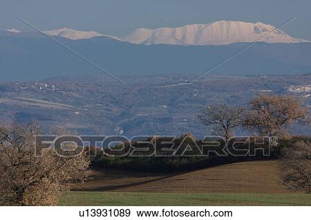 View of Umbrian valley, green fields and bare trees, with hills and snowy mountain range beyond View Large Photo Image Stock Photo - View of Umbrian valley, green fields and bare trees, with hills and snowy mountain range beyond. Fotosearch