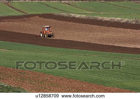 Stock Photo - view of vineyards in winter with bare vines against blue sunny sky and white clouds. Fotosearch