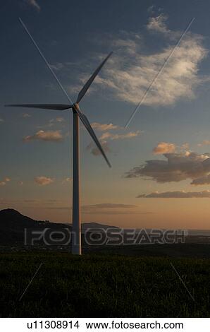 Picture - view of wind turbine, on grassy hill, in Southern Italy at sunset, against blue sky. Fotosearch
