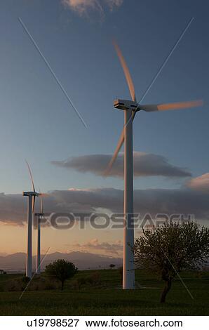 view of wind turbines and olive trees, on grassy hill, in Southern Italy at sunset, against blue sky View Large Photo Image Stock Photo - view of wind turbines and olive trees, on grassy hill, in Southern Italy at sunset, against blue sky. Fotosearch