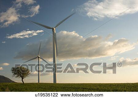 Stock Image - view of wind turbines, on grassy hill, in Southern Italy in late afternoon sun, against blue sky. Fotosearch