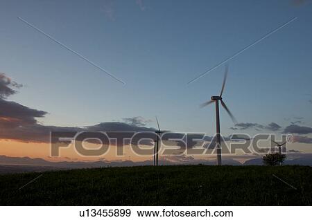 Stock Photo - view of wind turbines, on grassy hill, in Southern Italy at sunset, against blue sky. Fotosearch