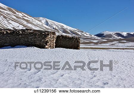 Wood stored for the winter in meadow of Piano Grande, Umbria, with snow in background on mountain slopes, landscape view View Large Photo Image Stock Photograph - Wood stored for the winter in meadow of Piano Grande, Umbria, with snow in background on mountain slopes, landscape view. Fotosearch