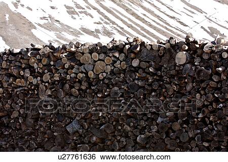Wood stored for the winter in meadow of Piano Grande, Umbria, with snow in background on mountain slopes View Large Photo Image Stock Photograph - Wood stored for the winter in meadow of Piano Grande, Umbria, with snow in background on mountain slopes. Fotosearch