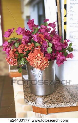 Stock Photo - Close-up of a vase on a ledge. Fotosearch