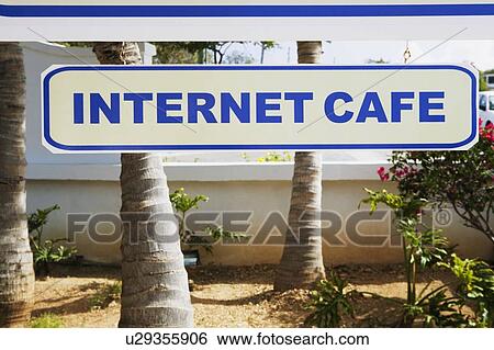 Stock Photograph - Close-up of an internet cafe sign hanging near palm trees. Fotosearch
