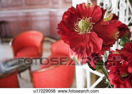 Close-up of flowers View Large Photo Image Stock Photo - Close-up of flowers. Fotosearch