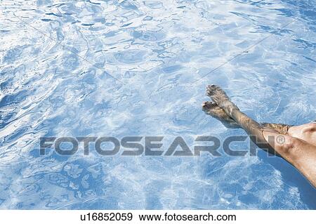 Low section view of a person in a swimming pool View Large Photo Image Stock Photo - Low section view of a person in a swimming pool. Fotosearch