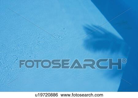 Shadow of a tree in water View Large Photo Image Stock Photograph - Shadow of a tree in water. Fotosearch