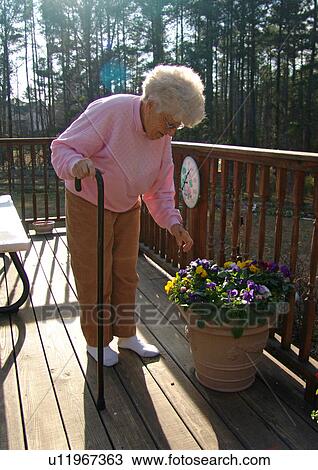 An elderly woman checks on her flowers. View Large Photo Image Stock Image - An elderly woman checks on her flowers.. Fotosearch