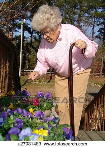 Stock Image - An elderly woman checks on her flowers.. Fotosearch