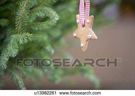 A Christmas decoration hanging on a tree View Large Photo Image Stock Image - A Christmas decoration hanging on a tree. Fotosearch