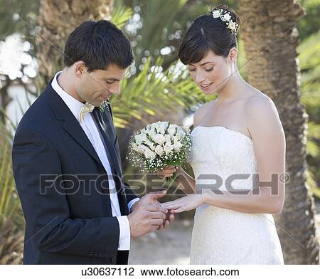 A groom placing the ring on his bride View Large Photo Image Stock Image - A groom placing the ring on his bride. Fotosearch