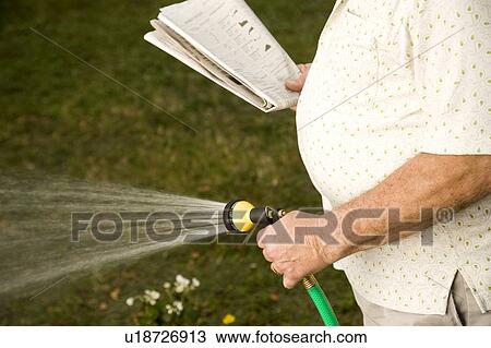 A senior man watering the garden View Large Photo Image Stock Image - A senior man watering the garden. Fotosearch