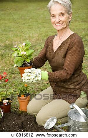 Stock Image - A senior woman gardening. Fotosearch
