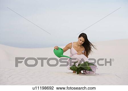 Stock Image - A woman watering a plant in the sand. Fotosearch