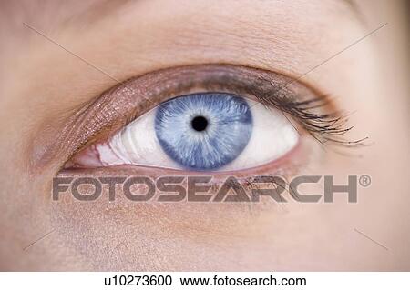 Stock Image - A woman's blue eye with makeup. Fotosearch
