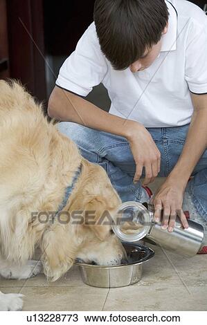 A young boy feeding his dog View Large Photo Image Stock Image - A young boy feeding his dog. Fotosearch