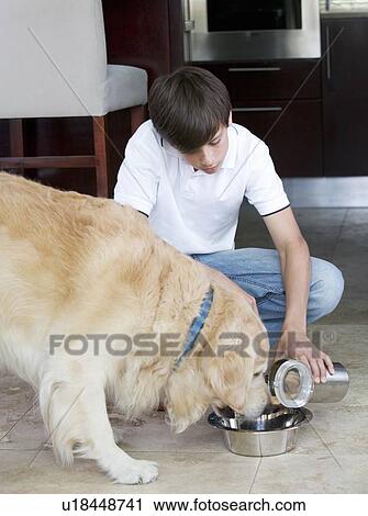A young boy feeding his dog View Large Photo Image Stock Image - A young boy feeding his dog. Fotosearch