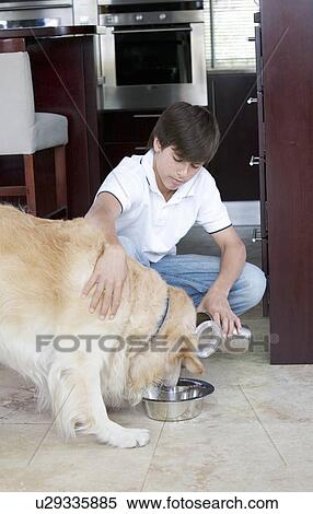 Stock Photography - A young boy feeding his dog. Fotosearch