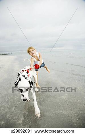 A young boy with a dog on a beach View Large Photo Image Stock Image - A young boy with a dog on a beach. Fotosearch