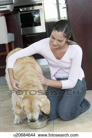 Picture - A young girl feeding her dog. Fotosearch
