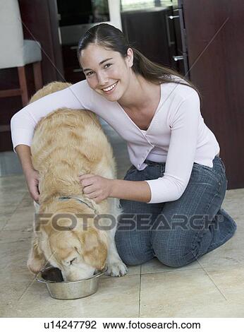 A young girl feeding her dog View Large Photo Image Stock Image - A young girl feeding her dog. Fotosearch