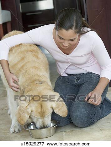 Stock Photo - A young girl feeding her dog. Fotosearch