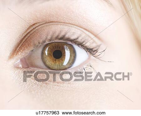 An eye, close-up View Large Photo Image Stock Image - An eye, close-up. Fotosearch