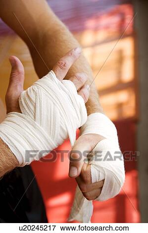 Boxer binding up hands with padding bandages View Large Photo Image Stock Photo - Boxer binding up hands with padding bandages. Fotosearch