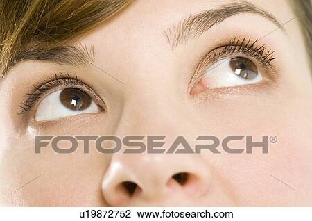 Close up of a women's face View Large Photo Image Stock Image - Close up of a women's face. Fotosearch