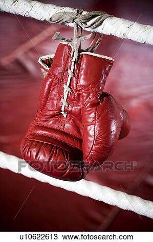 Close up of boxing gloves on the ropes of a boxing ring. View Large Photo Image Stock Image - Close up of boxing gloves on the ropes of a boxing ring.. Fotosearch