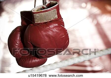 Stock Photo - Close up of boxing gloves on the ropes of a boxing ring.. Fotosearch
