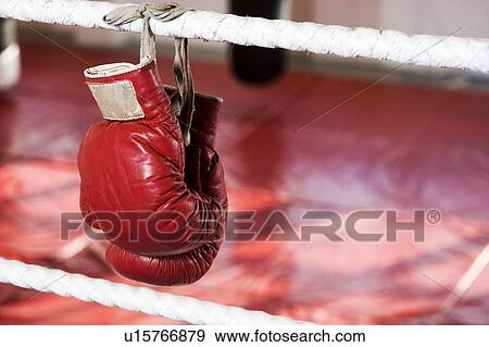 Close up of boxing gloves on the ropes of a boxing ring. View Large Photo Image Stock Photo - Close up of boxing gloves on the ropes of a boxing ring.. Fotosearch