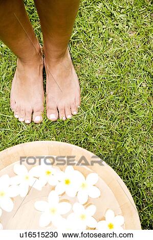 Stock Image - Feet and a bowl of floating frangipani flowers. Fotosearch