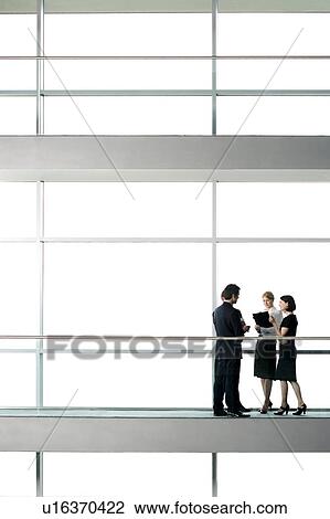 Group of business colleagues in modern office building View Large Photo Image Stock Image - Group of business colleagues in modern office building. Fotosearch