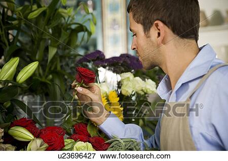 Stock Photo - Male florist amongst the flowers in his shop. Fotosearch