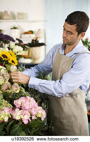 Male florist amongst the flowers in his shop View Large Photo Image Stock Photograph - Male florist amongst the flowers in his shop. Fotosearch