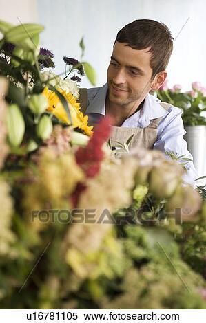 Male florist amongst the flowers in his shop View Large Photo Image Stock Photography - Male florist amongst the flowers in his shop. Fotosearch