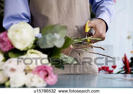 Male florist creating a bouquet of flowers, cutting the stems View Large Photo Image Stock Image - Male florist creating a bouquet of flowers, cutting the stems. Fotosearch