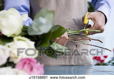 Stock Image - Male florist creating a bouquet of flowers, cutting the stems. Fotosearch