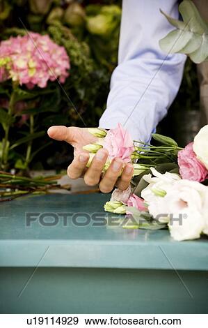 Stock Photo - Male florist creating a bouquet of flowers. Fotosearch