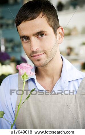 Male florist in his shop holding a pink rose View Large Photo Image Stock Photo - Male florist in his shop holding a pink rose. Fotosearch