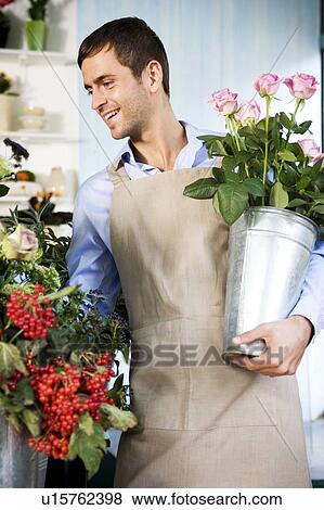 Male florist in his shop, holding a pot of pink roses View Large Photo Image Stock Photo - Male florist in his shop, holding a pot of pink roses. Fotosearch