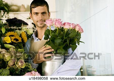 Male florist in his shop, holding a pot of pink roses View Large Photo Image Stock Photo - Male florist in his shop, holding a pot of pink roses. Fotosearch