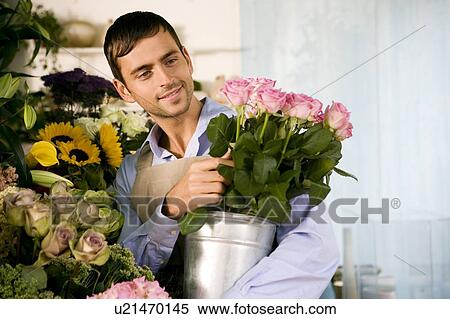 Male florist in his shop, holding a pot of pink roses View Large Photo Image Stock Photography - Male florist in his shop, holding a pot of pink roses. Fotosearch