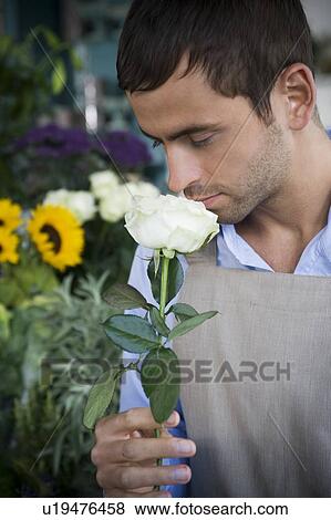 Stock Photo - Male florist smelling a white rose in his shop. Fotosearch